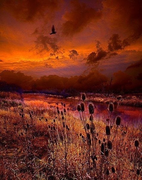 Art & Fun - 22  2019  00:37 - 2
