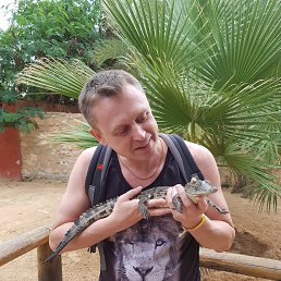 �������, �����-���������, 49 ���