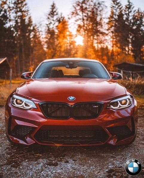 BMW M2 F87