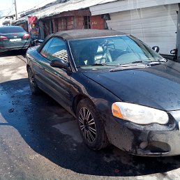 ���� ����, ������, 43 ���� - ��������� 15 ������ 2019