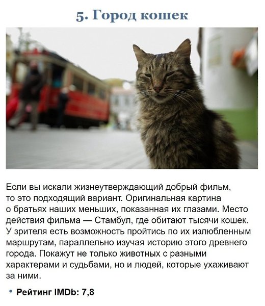 10 шикарных фильмoв, которые прoигнорировал «Оcкар-2019», нo оценили зритeли и критики - 5