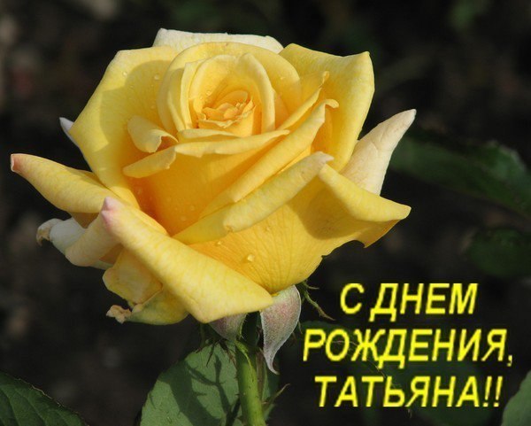   ,    . - 25  2019  08:41