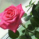 ���� �����, ��������� - ��������� 29 ������ 2019 � ������ ���� ����������