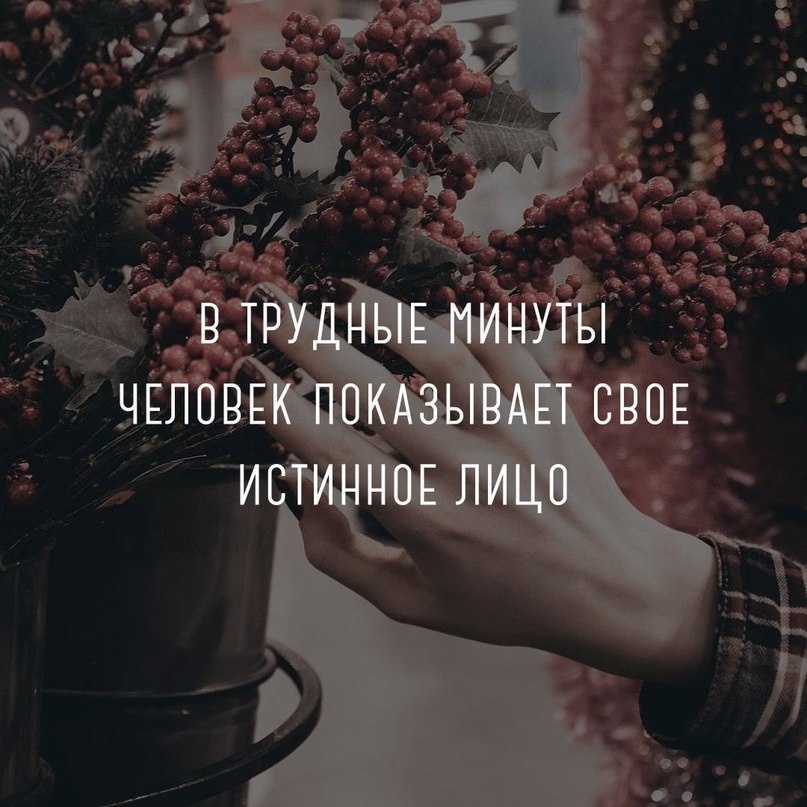 ������ ������� - 19 ���� 2019 � 14:03