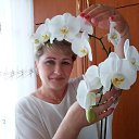 ���� Galina), ������ - ��������� 1 �������� 2019