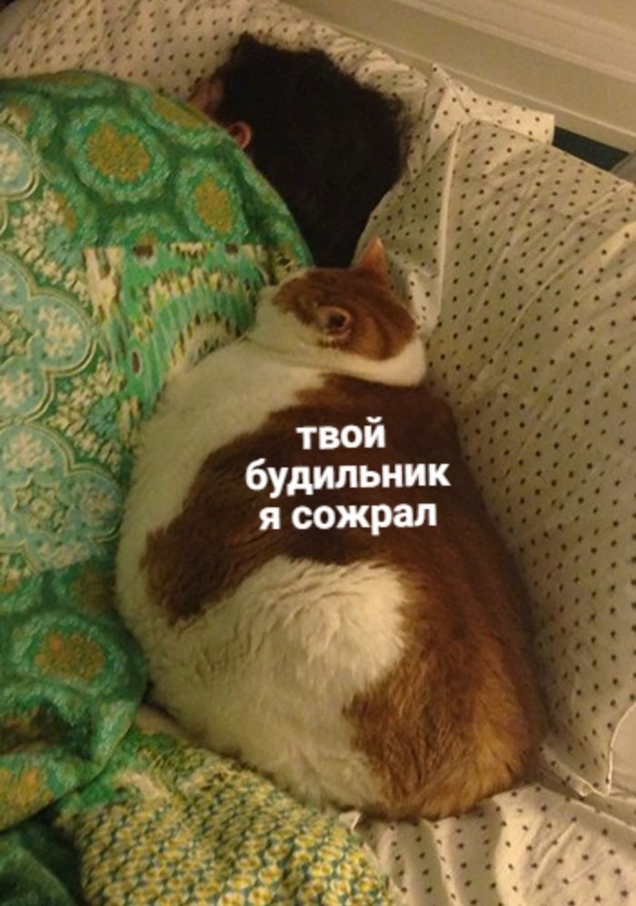 ,       - 2