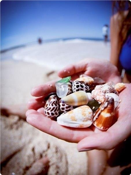 eo  o ope oa, ea, ea.. o pao opa.. o oe  eea..  p e  ... - 6