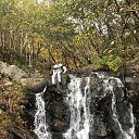 ���� ���������, ����-���������, 41 ��� - ��������� 5 ������� 2019 � ������ ���� ����������
