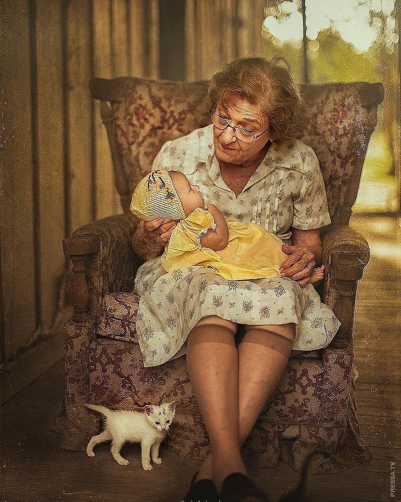  -   ,     , ,  , ...