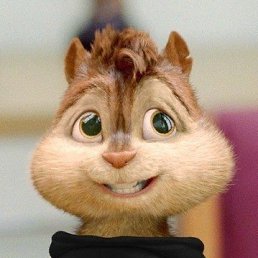 �����, �������, 54 ����