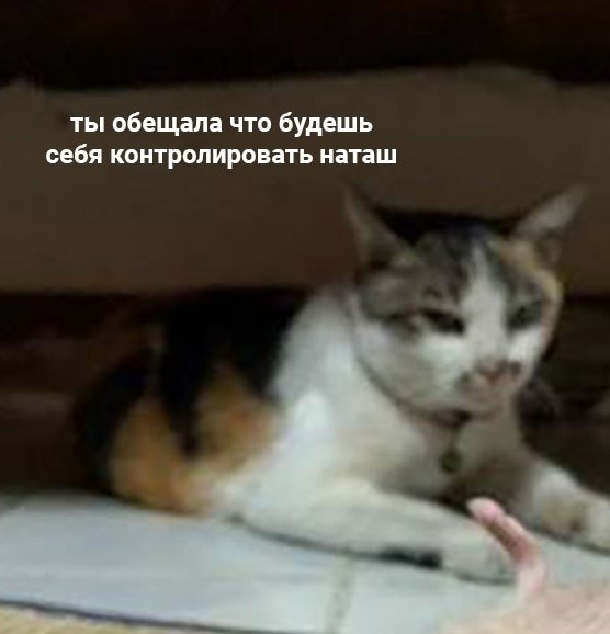    :  - 2