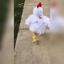 ���� And, ���������, 62 ���� - ��������� 2 ������� 2019