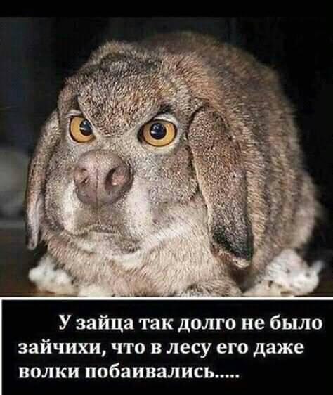   - 22  2019  20:01