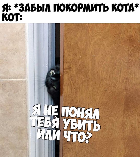    :D - 4  2019  03:28