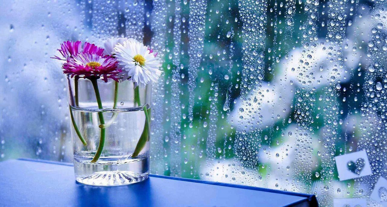   ,    . - 19  2019  23:48