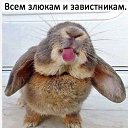 ���� ������, �����-��������� - ��������� 8 ������� 2019 � ������ ������ ��������