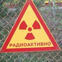 ���� �����, �����-���������, 37 ��� - ��������� 7 �������� 2019 � ������ ���� ����������