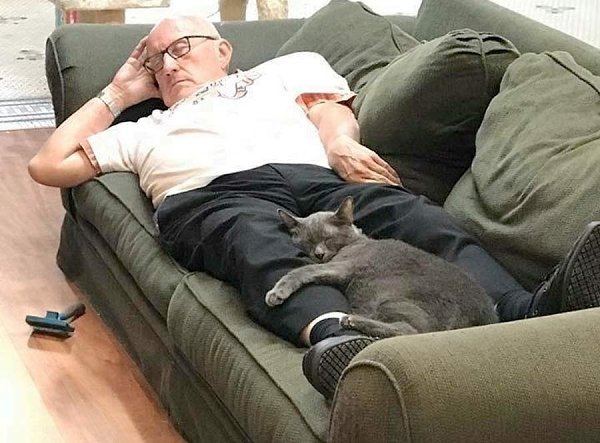 75-летний американец Терри так любил кошек, что решил устроится волонтёром в приют. Пенсионер ... - 6