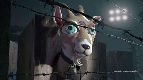    - 18  2019  00:31 - 2