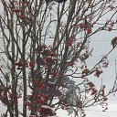 ���� �������, �������, 41 ��� - ��������� 3 ������ 2019 � ������ ������ ��������