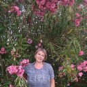 ���� ����, ��������� - ��������� 2 ���� 2019 � ������ ���� ����������