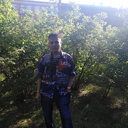 ���� �������, ���������, 46 ��� - ��������� 29 ���� 2019