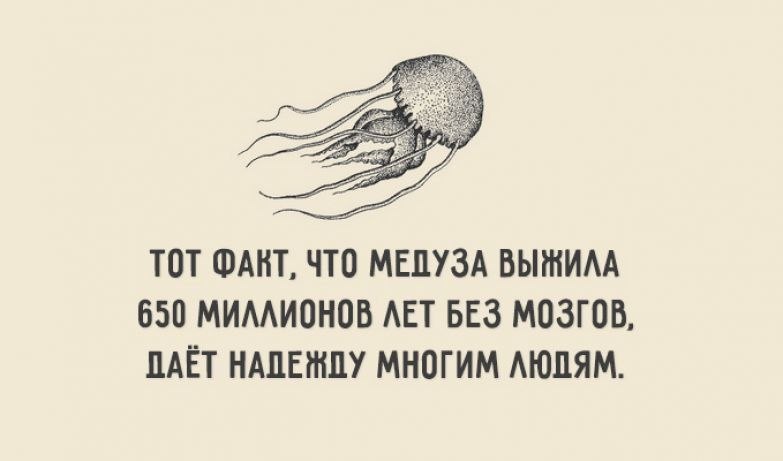 ₪╬═►  ||  ||  ◄═╬₪ - 14  2019  10:01