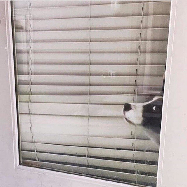 Moe  ac , aoap pcaoy a ax oe.   o o ... - 7