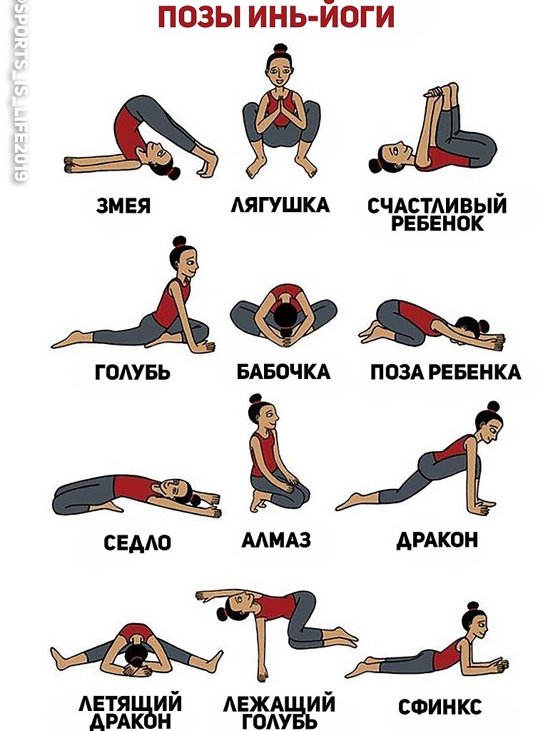    ? #SPORT_@sports_is_life2019