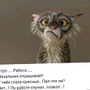 ���� Ruslan, ������, 42 ���� - ��������� 6 ������ 2019 � ������ ���� ����������
