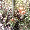 ���� ������, ����, 49 ��� - ��������� 15 ������� 2019 � ������ ���� ����������