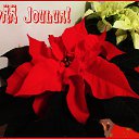 ���� ��������, Kouvola, 78 ��� - ��������� 23 ������� 2019 � ������ ������� ������������