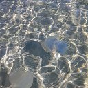 ���� Aleksey, ���������, 64 ���� - ��������� 5 ������� 2019 � ������ ���� ����������