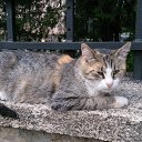 ���� Alex, ������, 48 ��� - ��������� 7 ������� 2019