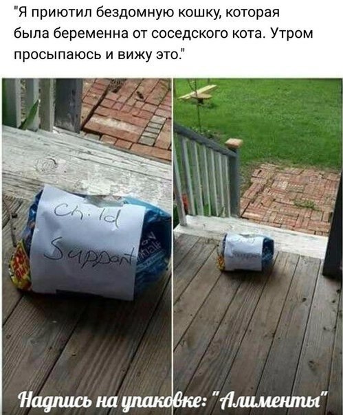 ��� �������� �������� - 29 ������� 2019 � 17:06