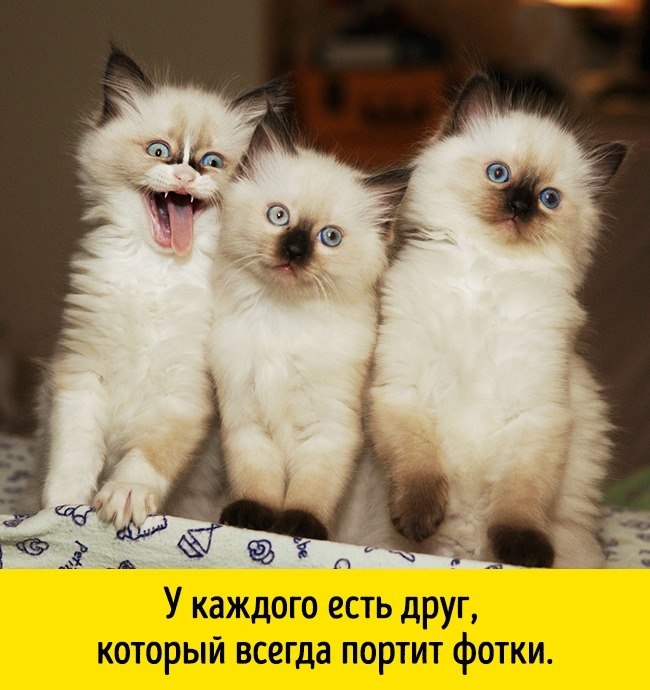 ���)))