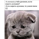 ���� Piligrim, ���������, 60 ��� - ��������� 26 ��� 2019 � ������ ���� ����������