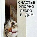 ���� ������, ������, 69 ��� - ��������� 5 �������� 2019 � ������ ���� ����������