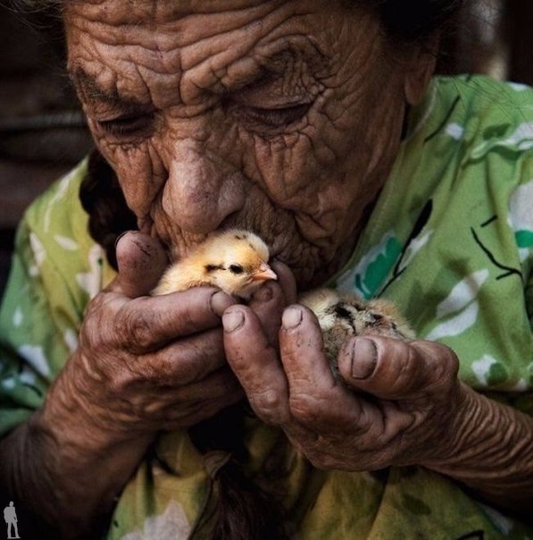 �������� � ���� ���o���� - 9