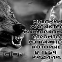 ���� ������, ��������� - ��������� 19 �������� 2019