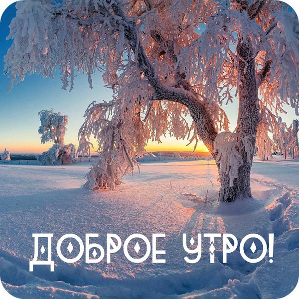   ,    . - 20  2019  23:05