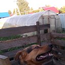 ���� �������, �������, 46 ��� - ��������� 16 ���� 2019 � ������ ���� ����������