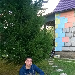 ����, 38 ���, �����