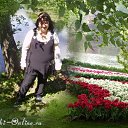 ���� �������, ������ ��������, 67 ��� - ��������� 31 ���� 2019 � ������ ������ ����� ���������