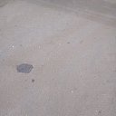  Jroslav, , 66  -  14  2019    