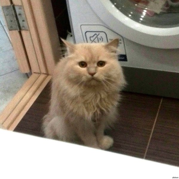 Moe  ac , aoap pcaoy a ax oe.   o o ... - 4