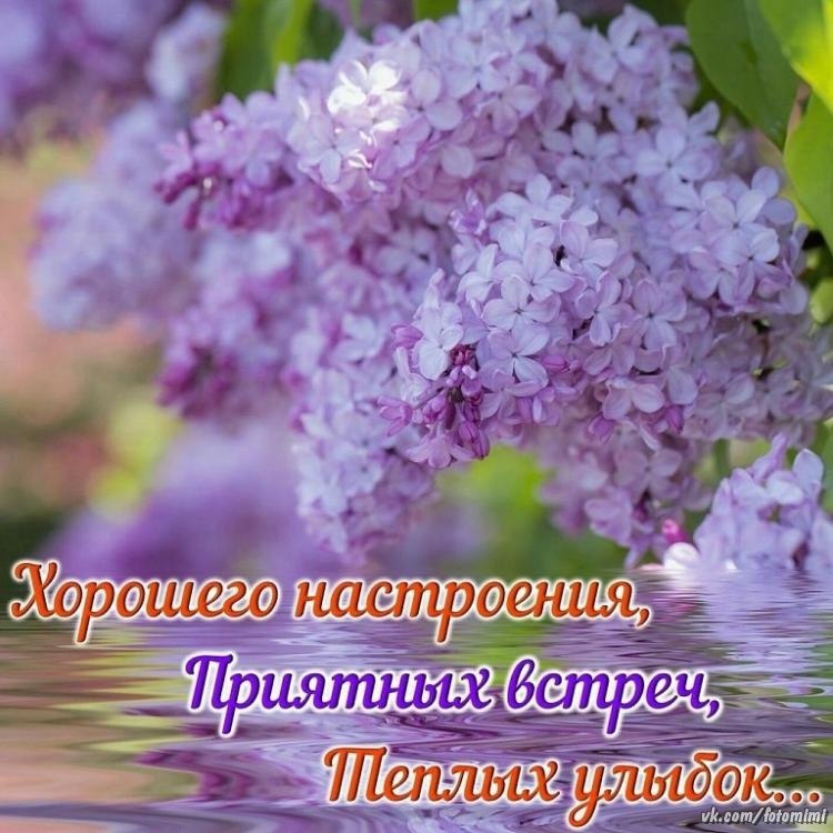  - 17  2019  07:53