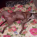 ���� ��������, �����-���������, 51 ��� - ��������� 21 ������� 2019 � ������ ���� ����������