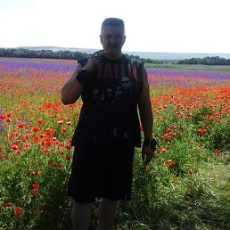 ���������, ���������, 48 ���