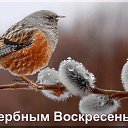 ���� ���������, �������, 63 ���� - ��������� 20 ������ 2019 � ������ ������ ��������